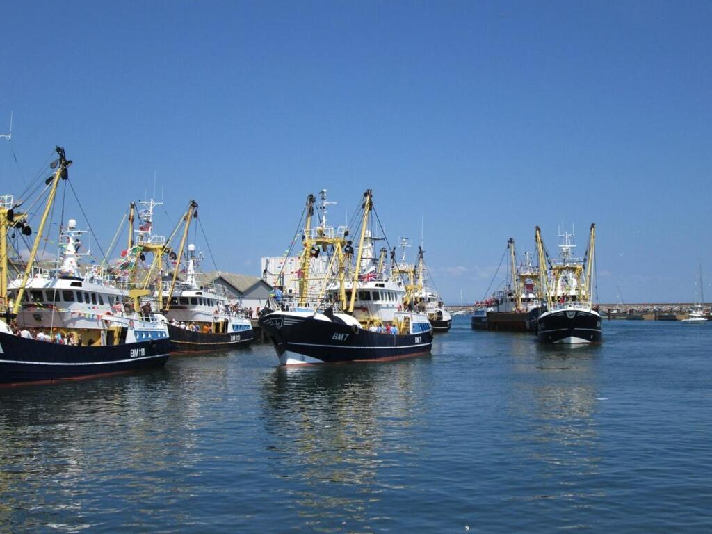 A Modern And Cosy Apartment Just Yards From Brixham'S Bustling Harbourside Екстер'єр фото